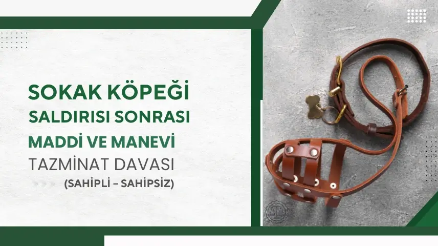 Sokak Köpeği Saldırısı Sonrası Maddi ve Manevi Tazminat Davası (Sahipli – Sahipsiz)